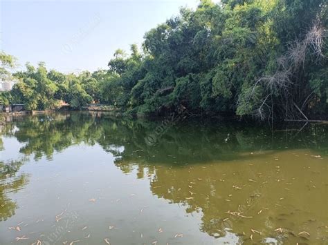 南宁西乡塘区免费钓场大全 - 钓鱼之家