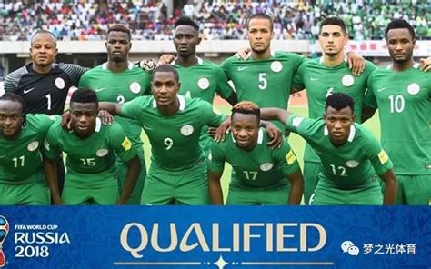 2018世界杯32强巡礼之“非洲雄鹰”尼日利亚