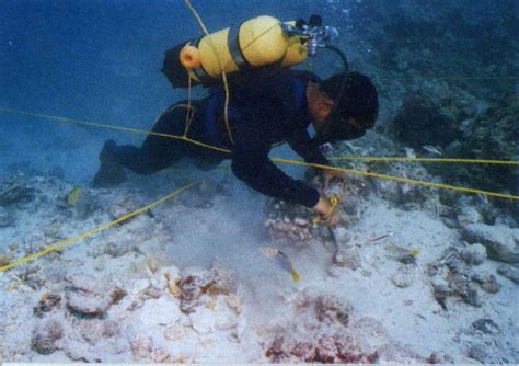 लिटल फूट (Little Foot) – मराठी विश्वकोश