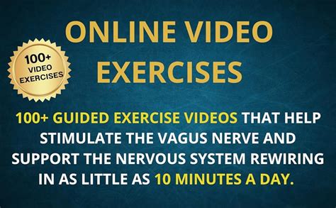 Buy Vagus Nerve Holistic Bible: Somatic Exercises to Restore Deep Sleep ...