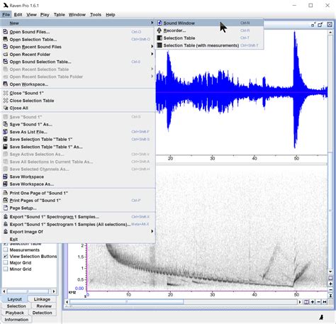 Image result for Copy and Paste Audio Software