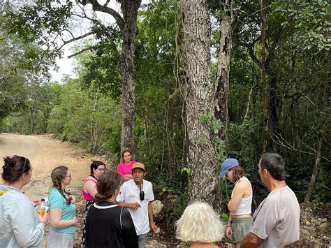 ECO MAYA NATIVE TOURS - All You Need to Know BEFORE You Go 2026 (with ...