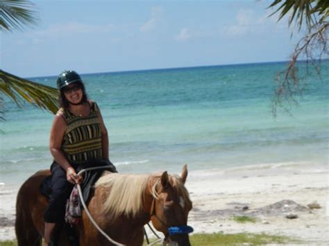 Grand Bahama Tour - Day Tours (Freeport) - 2022 What to Know Before You ...