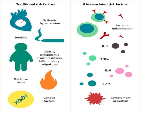 Ischemic Heart Disease and Rheumatoid Arthritis—Two Conditions, the ...