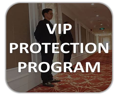 VIP Protection Static Animation 的图像结果