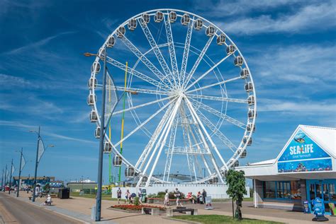 Great Yarmouth Bowling Green at Susan Cochrane blog