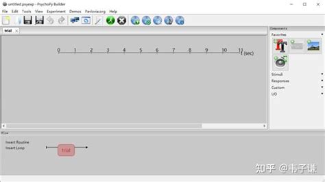 PsychoPy Python 的图像结果