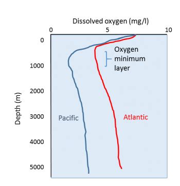 Depth Filter 的图像结果
