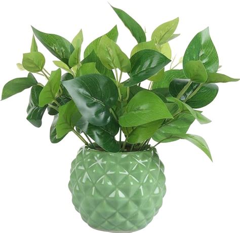 Star Ceramic Pot (Quantity-any 1 colour) (SCP1) — GIFTnPLANTS