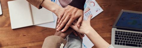 Lagoon Pools & Spa - India's Top Swimming Pool Builder