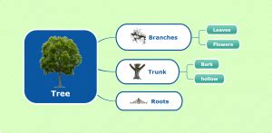 Mind Map Types 的图像结果