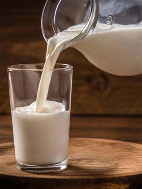 What is Cockroach milk? 5 Health benefits of new age superfood