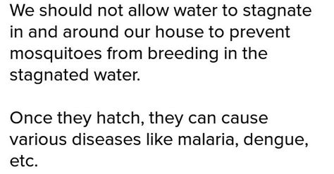 We can allow water to stagnate around our house. A.TrueB.False - Brainly.in