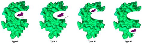 An Updated Review on Developing Small Molecule Kinase Inhibitors Using ...