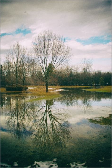 Image result for Spring Refletion