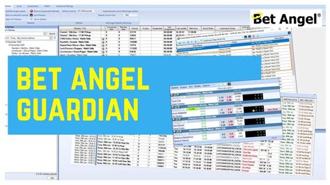 Bet Angel Tutorials 的图像结果