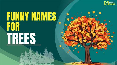 Funny Names for Trees [350+ Creative Ideas] - Names Crunch
