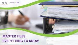 Image result for Master File Examples