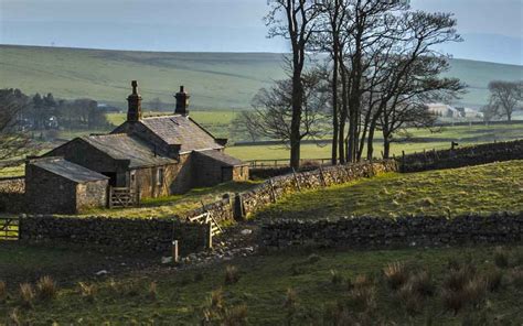 Local History 的图像结果