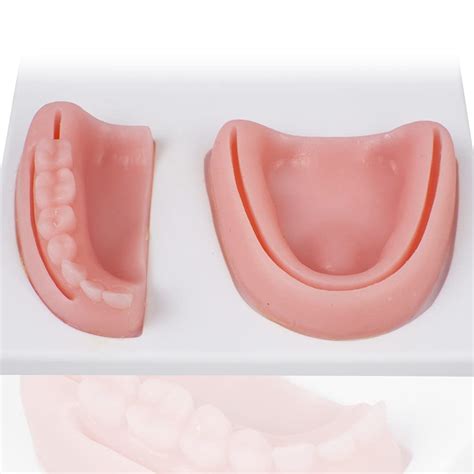 Buy Sütüre Practice Kit, Dental Sütüre Kits, Sürgical Oral Sütüre ...