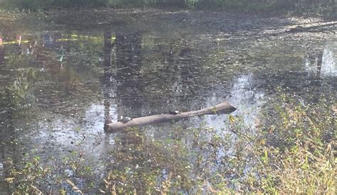 Goshen Tourism (2024): All You Need to Know Before You Go