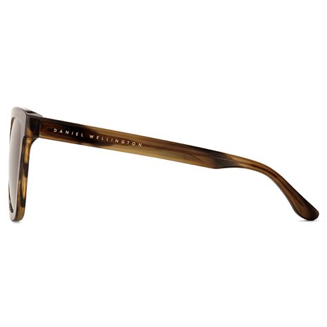 Grande Acetate - Women's & men's brown sunglasses | DW