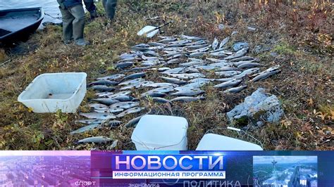 В нацпарке «Югыд ва» поймали браконьера. - YouTube