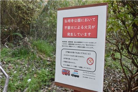 Japan meldet zahlreiche Brandstiftungen in Parks und an Flüssen