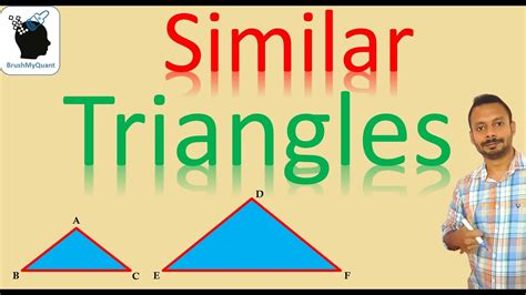 Area of Similar Triangles 的图像结果