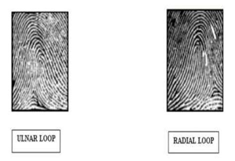 For Loop Patterns 的图像结果