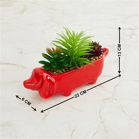 Buy Garnet Elsa Artificial Succulent in Dog Planter from Home Centre at ...