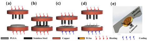 Dry Electrodes for Human Bioelectrical Signal Monitoring