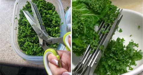 Image result for Amazon Kitchen Tools