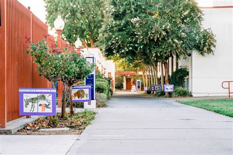 Campbell Community Center: Your Hub For Community Events