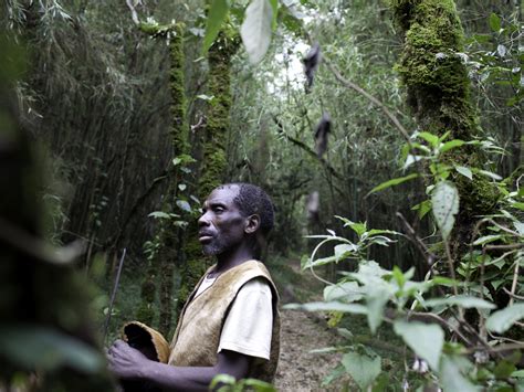 Local People of Forest and Wildlife 的图像结果