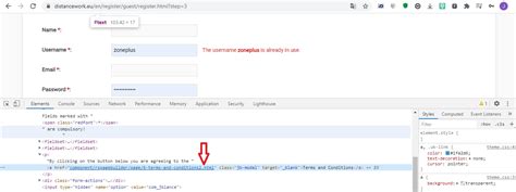 Netless Disable Script 的图像结果