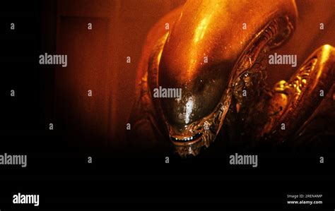 Image result for Alien 3 VF