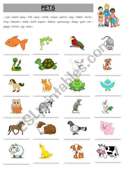 Pets Worksheet 的图像结果