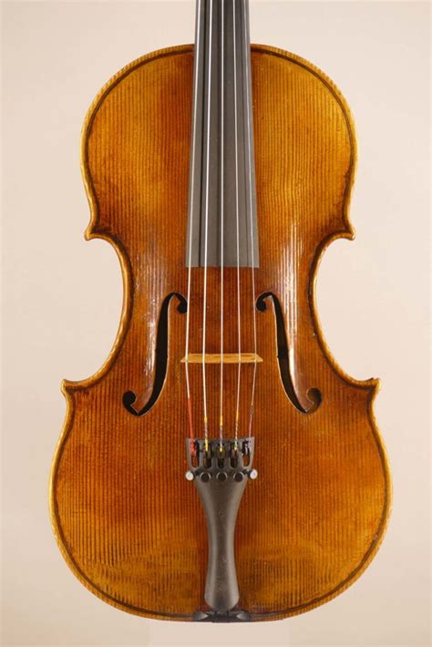 Image result for Five String Instruments