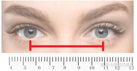 自助测量瞳距 - lmoptics
