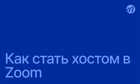Полное руководство по функциям хоста в Zoom: права и настройки
