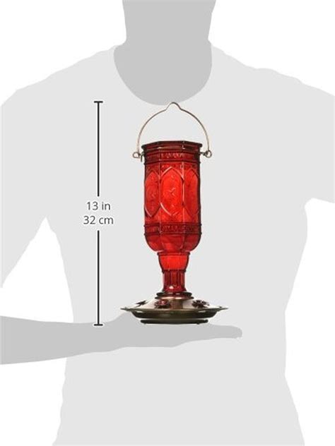 More Birds Red Jewel Hummingbird Feeder Glass | Ubuy India