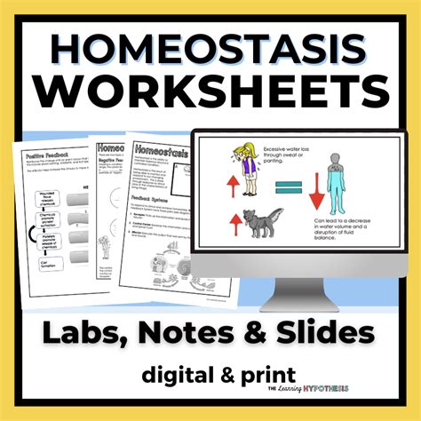 Homeostasis Free Science Lessons 的图像结果