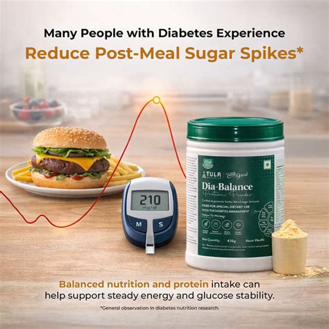 Diabetic Protein Powder for Blood Sugar Support - Dia-Balance