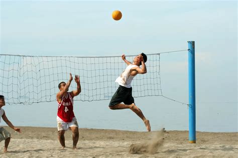 15 Volleyball Facts: History, Rules, And Records - OhMyFacts