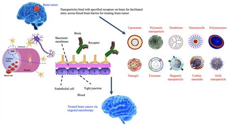 Applications of Various Types of Nanomaterials for the Treatment of ...