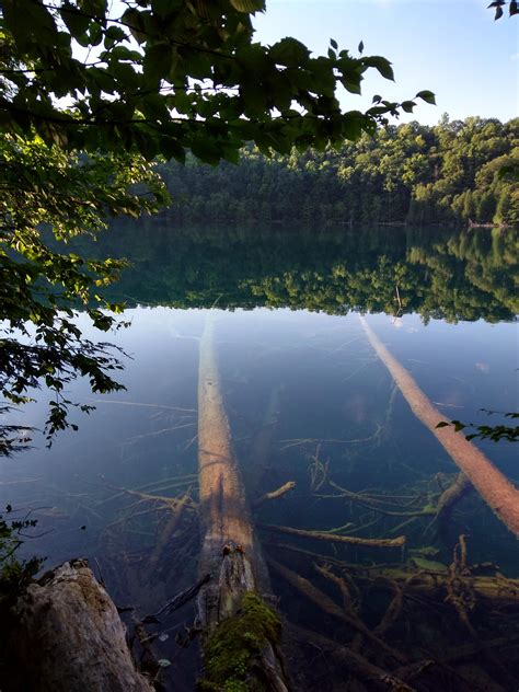Raystown Lake Underwater Trees