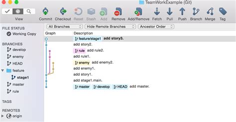 Source Tree Pull Push Example 的图像结果