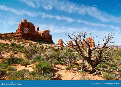 Red rocks of Utah stock image. Image of desert, mountains - 10912357