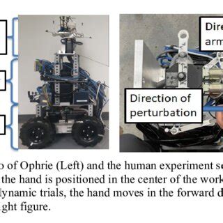 Image result for Front View 2D Spring
